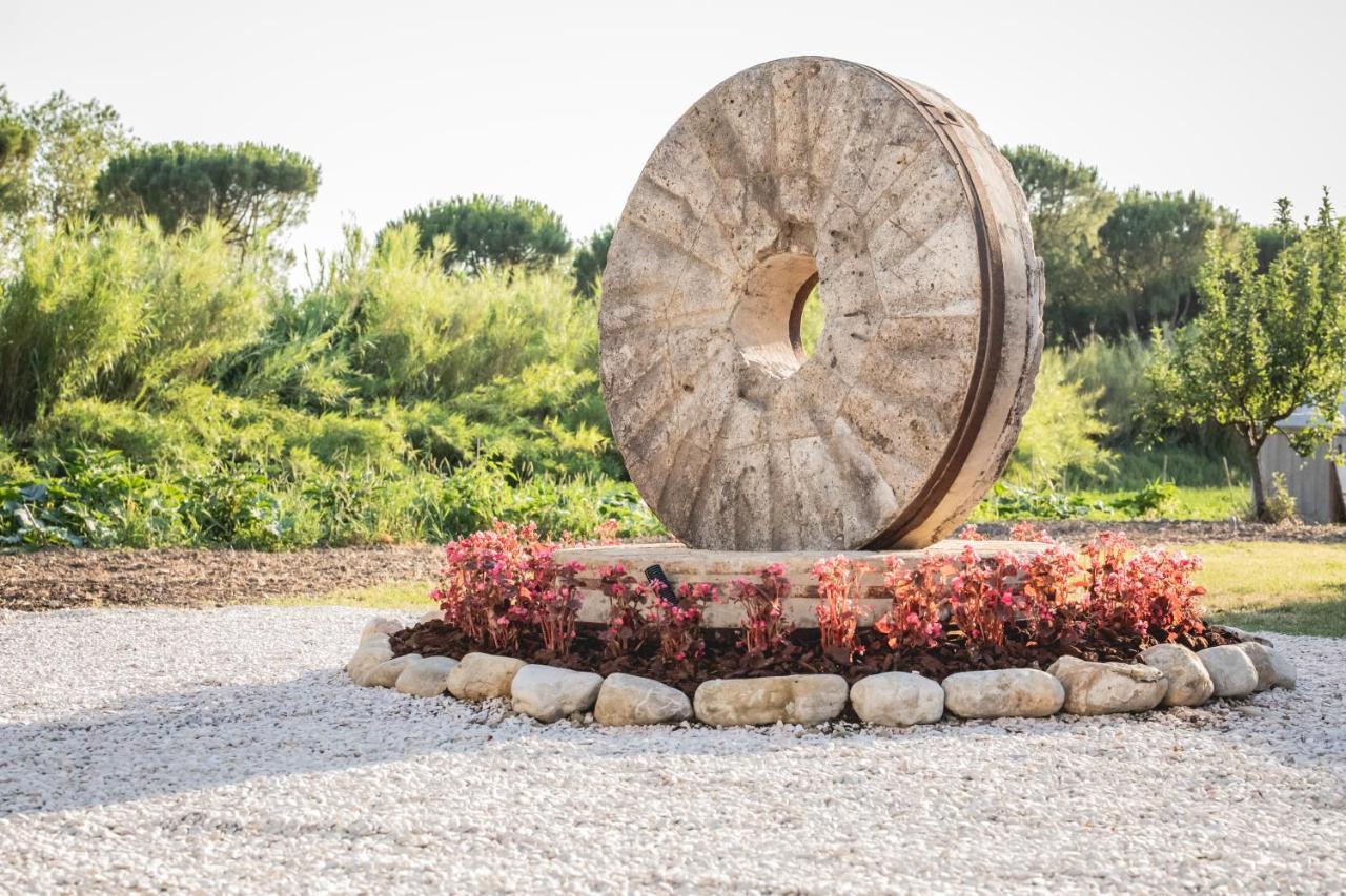 La Dimora Del Mugnaio Bed and Breakfast San Giovanni In Marignano Exteriör bild